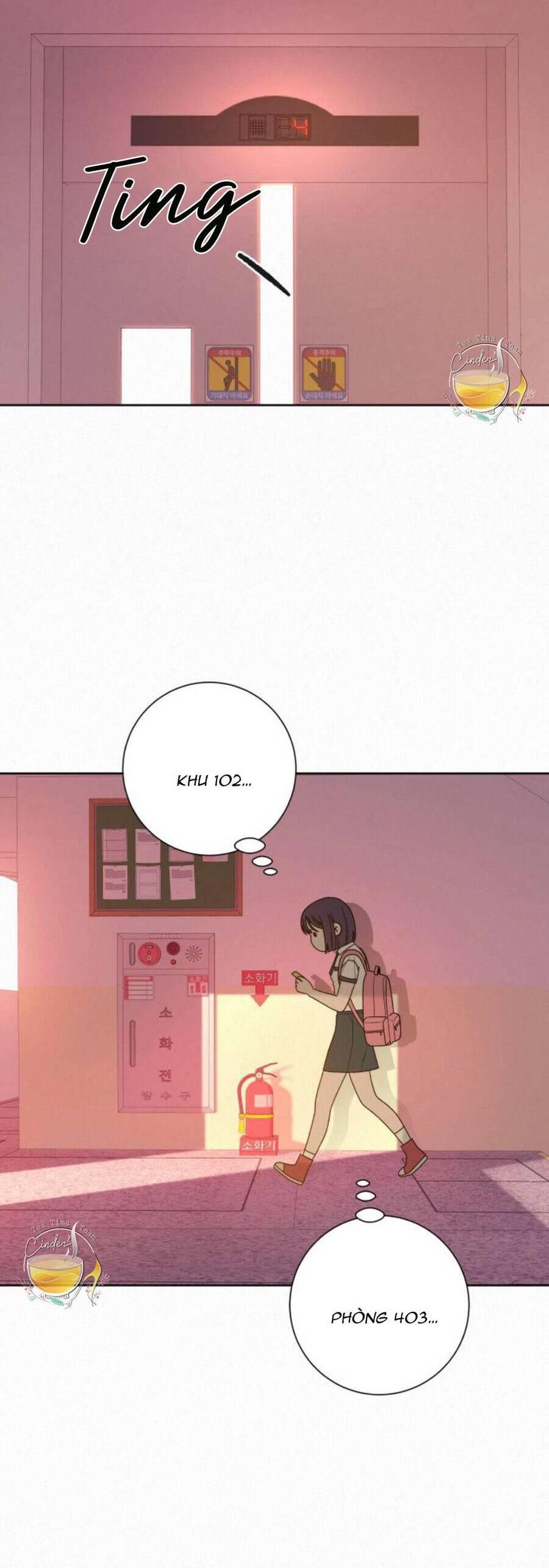 Tình Yêu Trong Sáng 