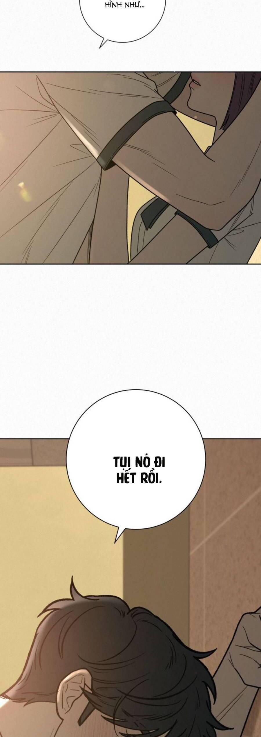 Tình Yêu Trong Sáng 