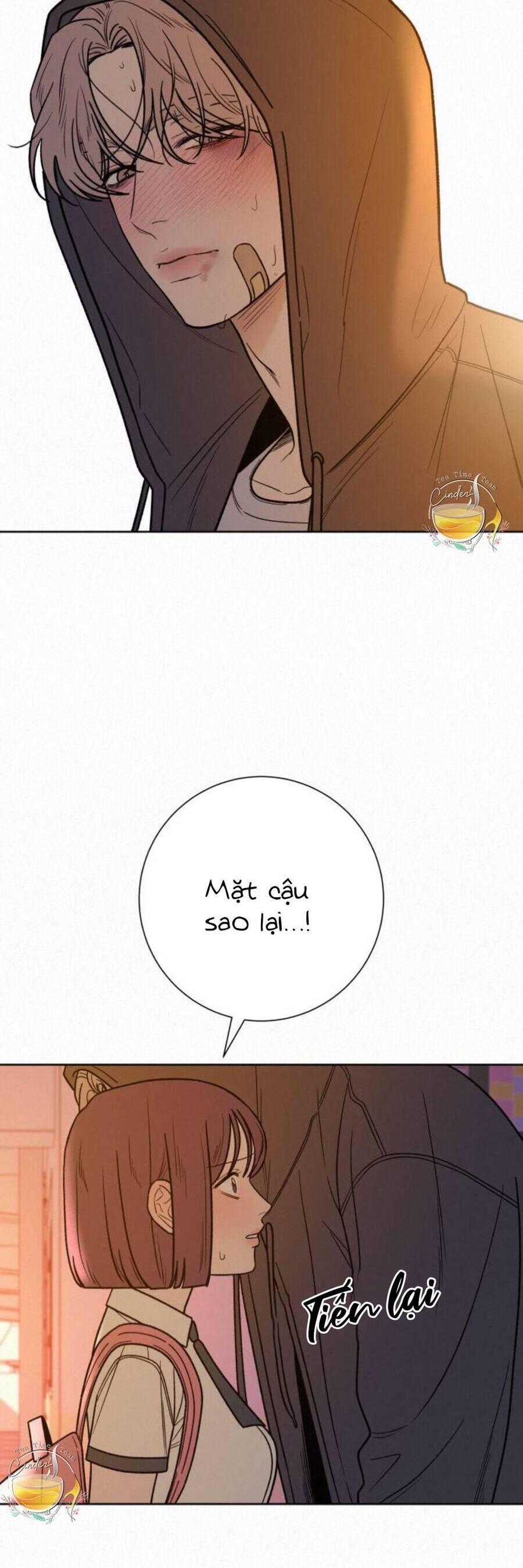 Tình Yêu Trong Sáng 