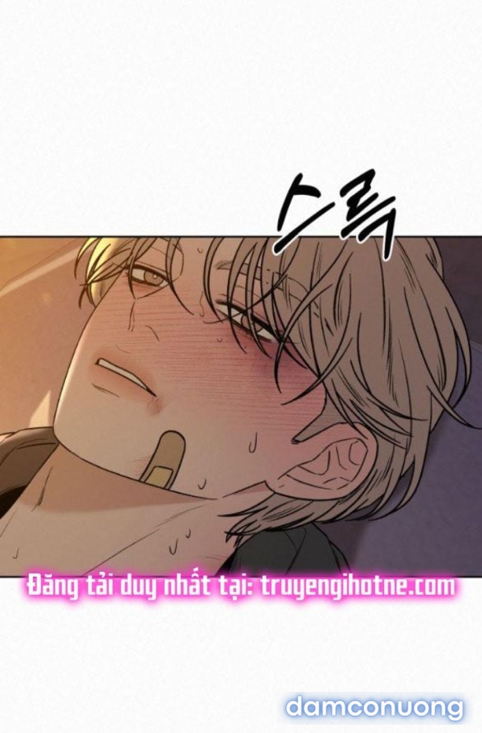 Tình Yêu Trong Sáng 