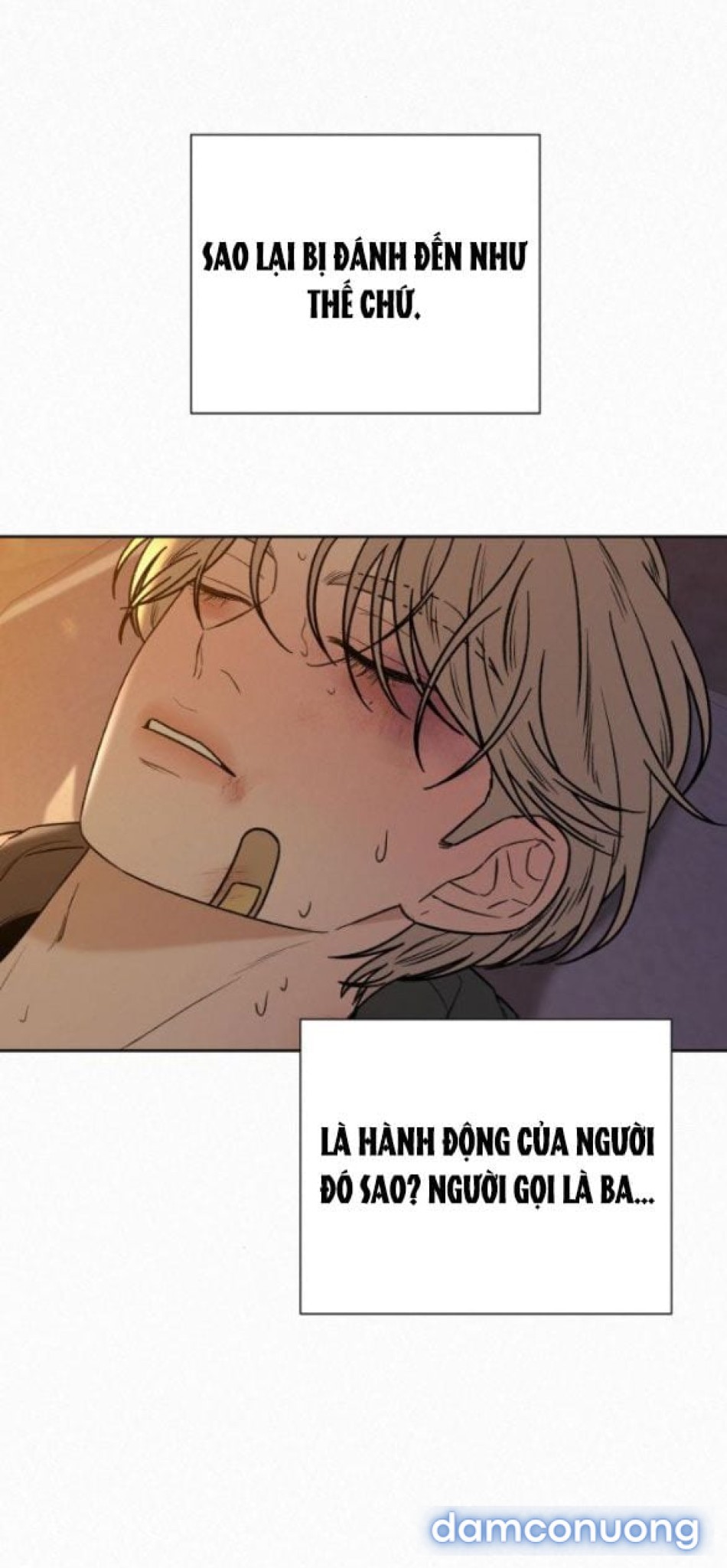 Tình Yêu Trong Sáng 