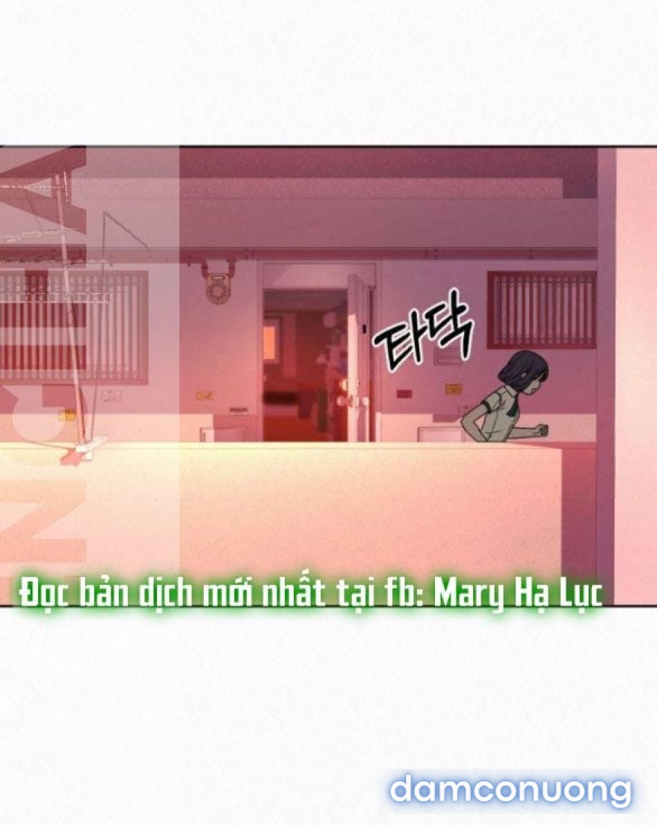 Tình Yêu Trong Sáng 