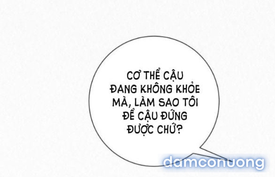Tình Yêu Trong Sáng 