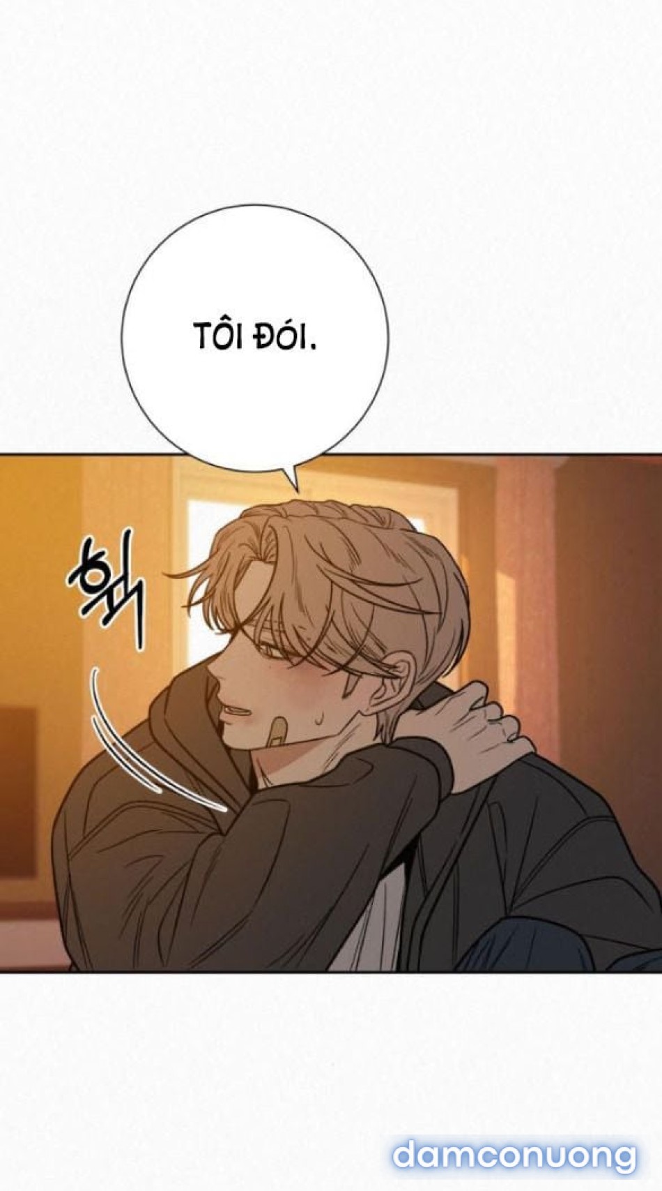 Tình Yêu Trong Sáng 