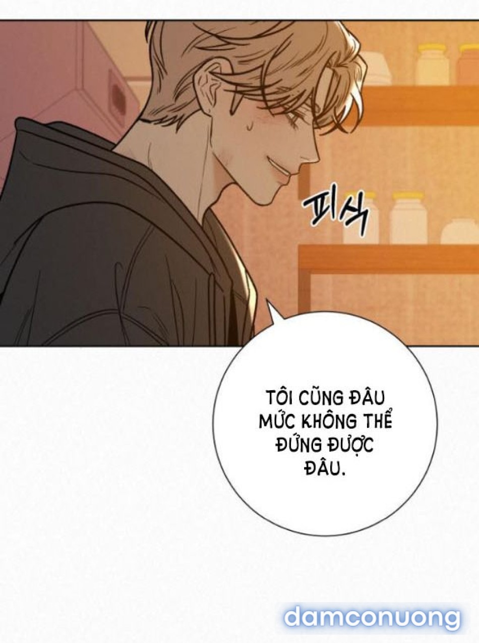 Tình Yêu Trong Sáng 