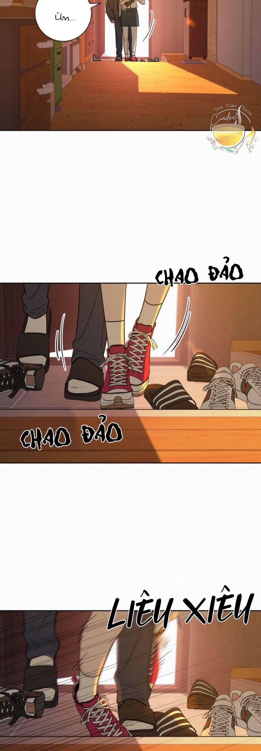 Tình Yêu Trong Sáng 