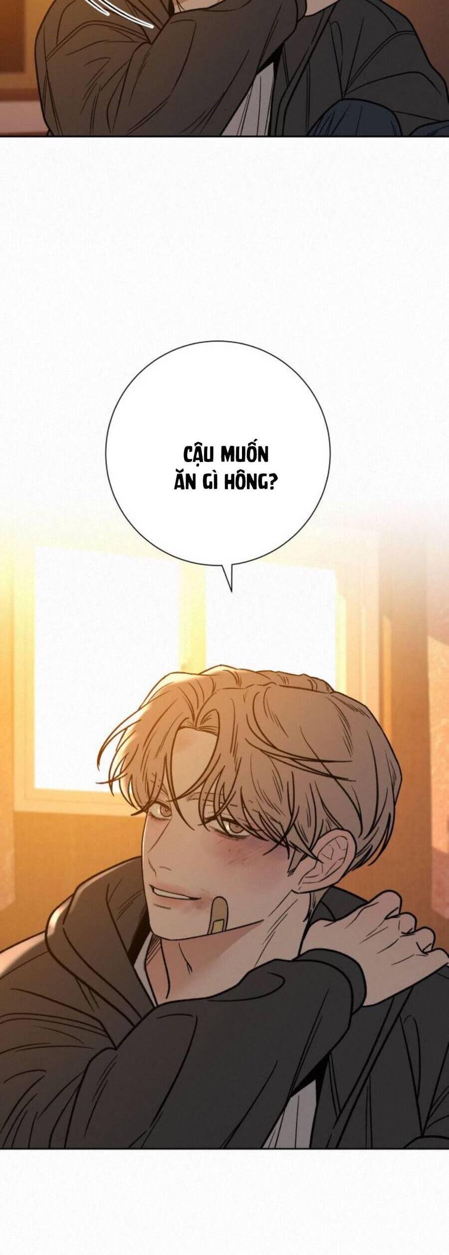 Tình Yêu Trong Sáng 