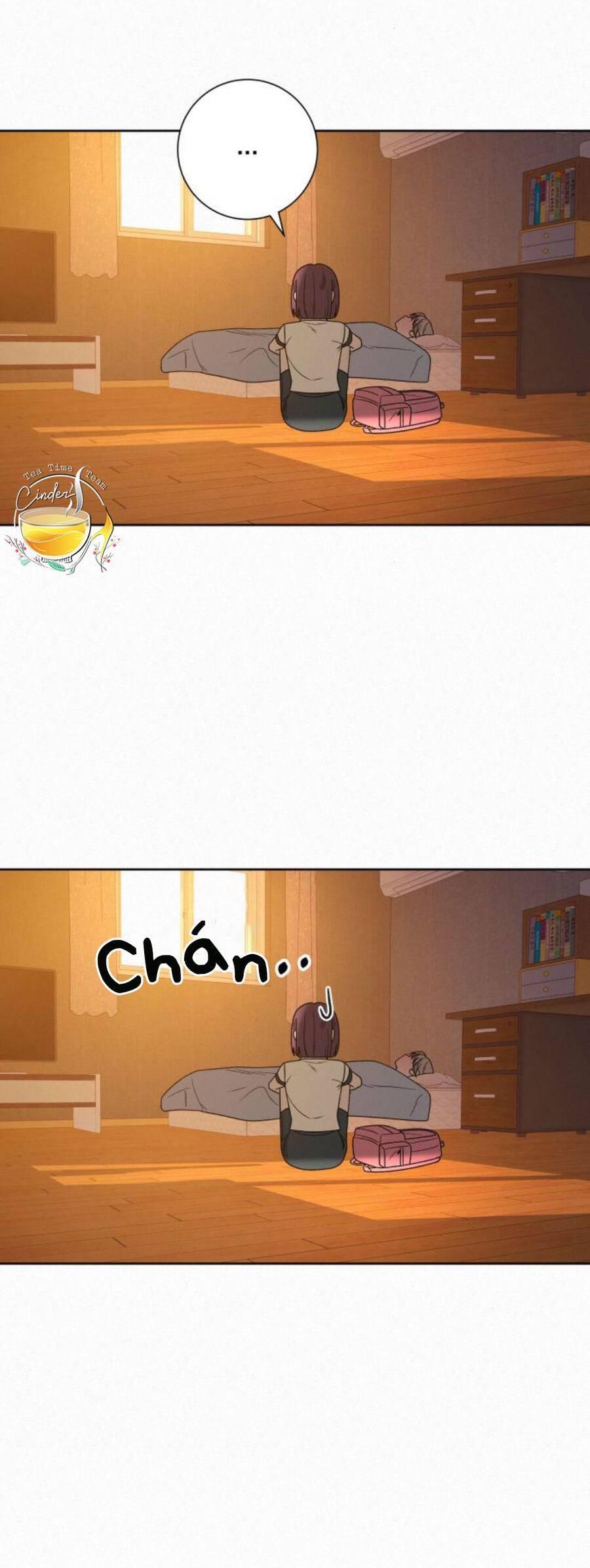 Tình Yêu Trong Sáng 