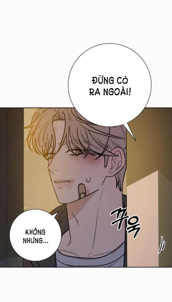 Tình Yêu Trong Sáng 