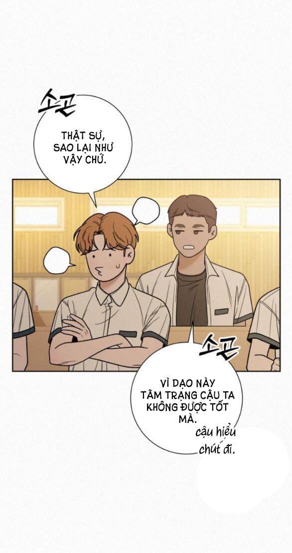 Tình Yêu Trong Sáng 