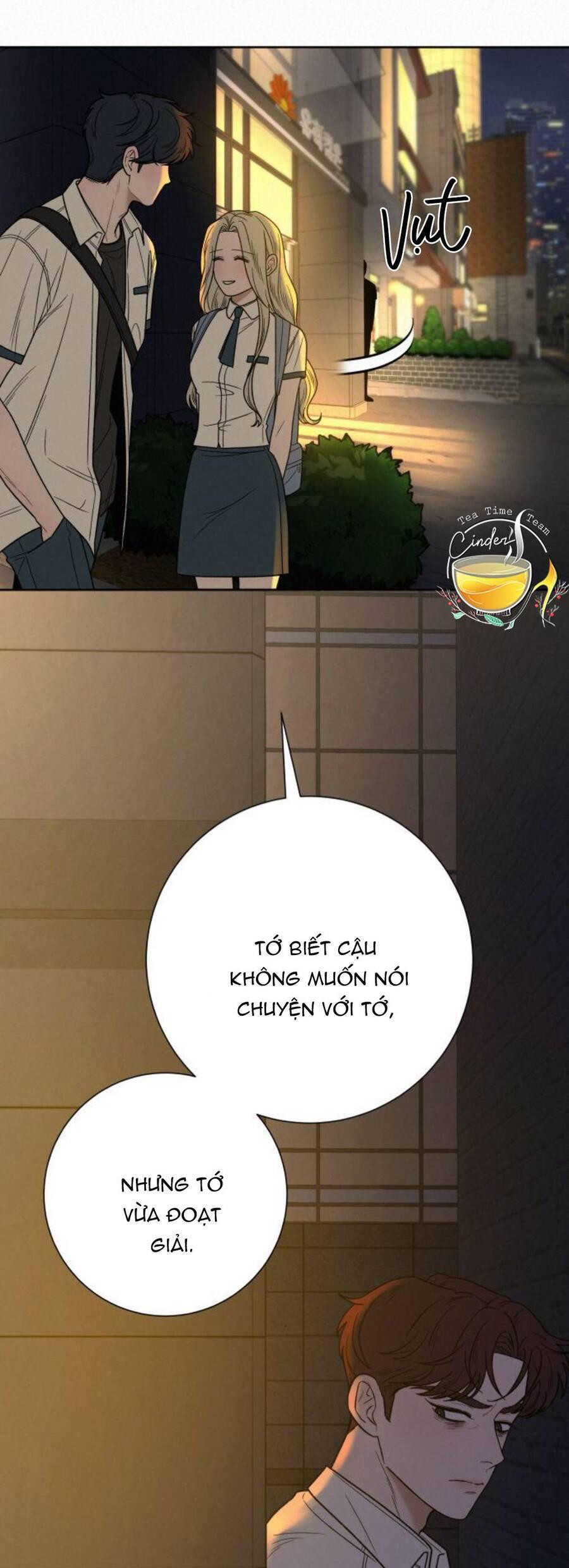 Tình Yêu Trong Sáng 