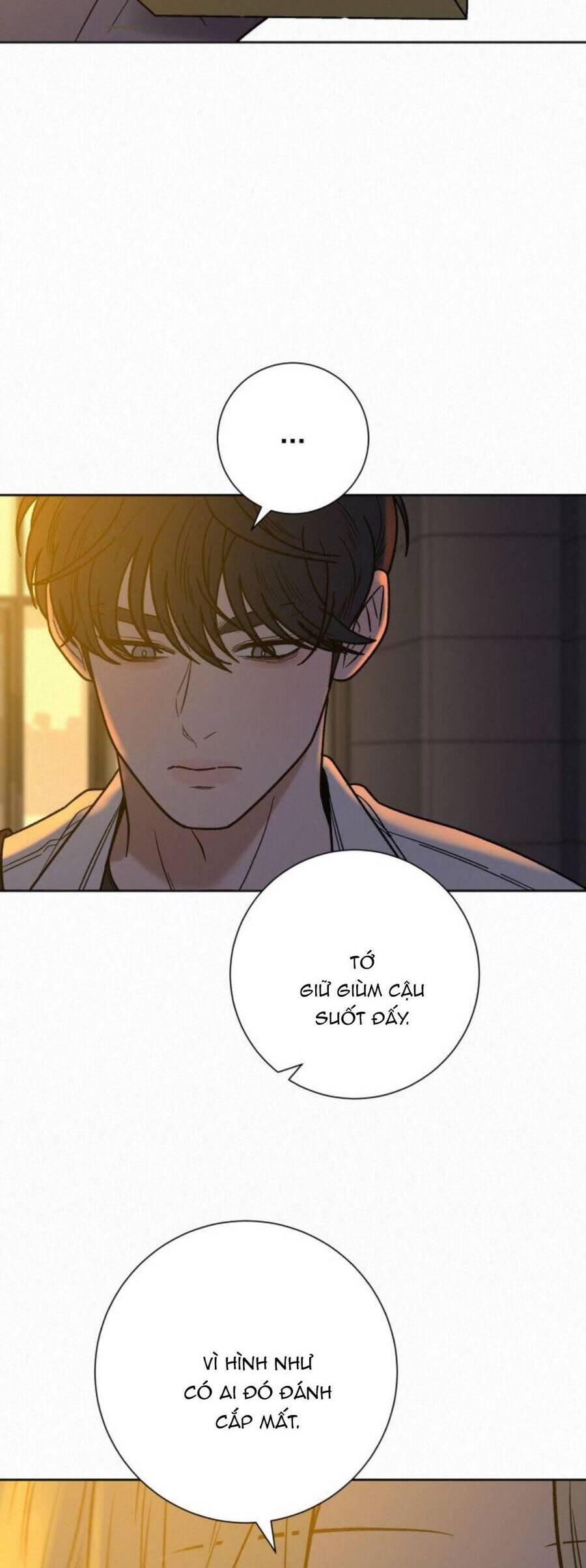 Tình Yêu Trong Sáng 