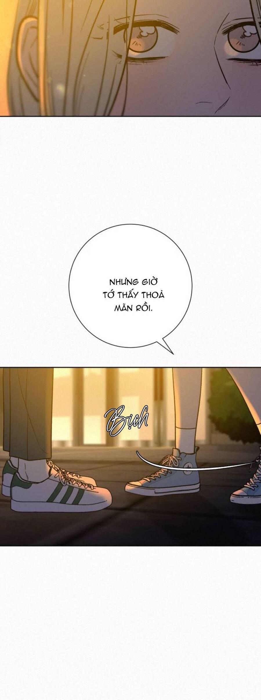 Tình Yêu Trong Sáng 