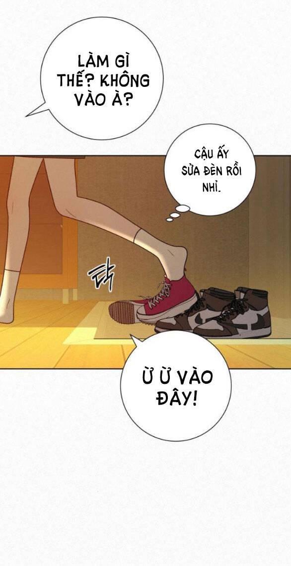 Tình Yêu Trong Sáng 