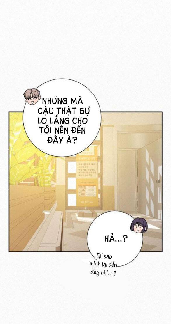 Tình Yêu Trong Sáng 