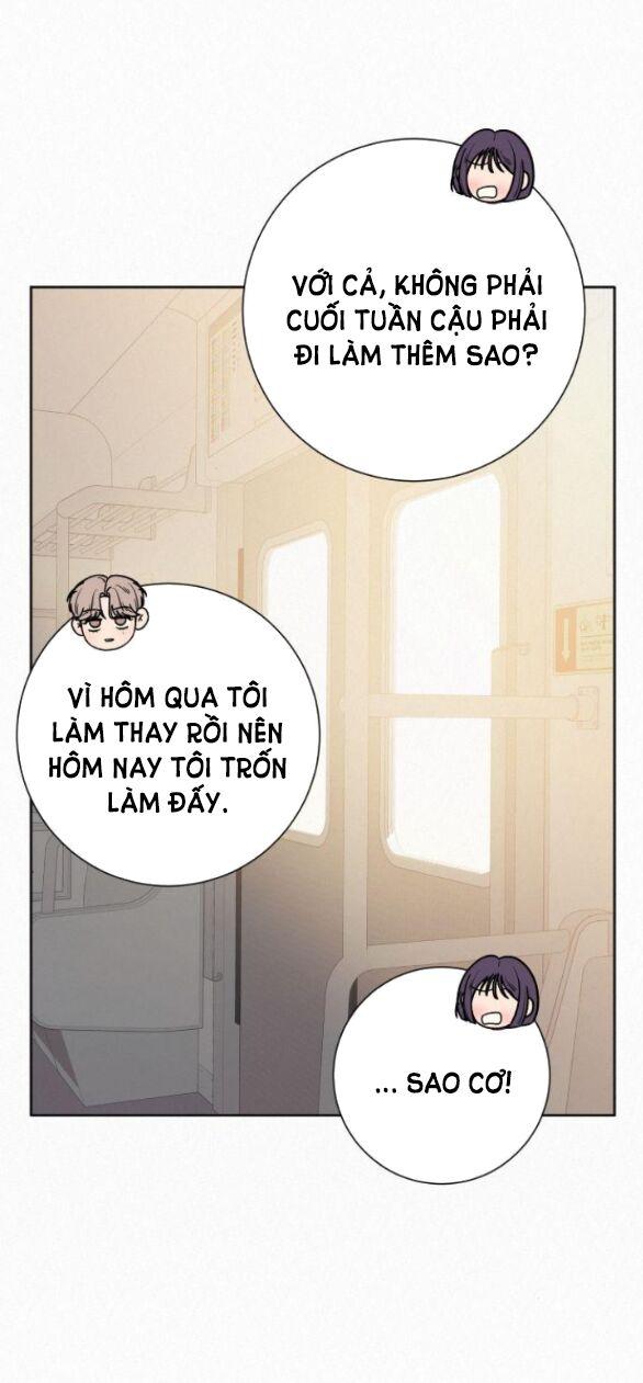 Tình Yêu Trong Sáng 