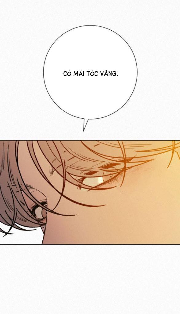 Tình Yêu Trong Sáng 