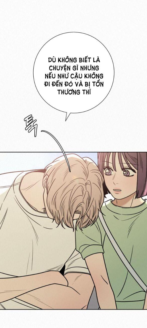 Tình Yêu Trong Sáng 