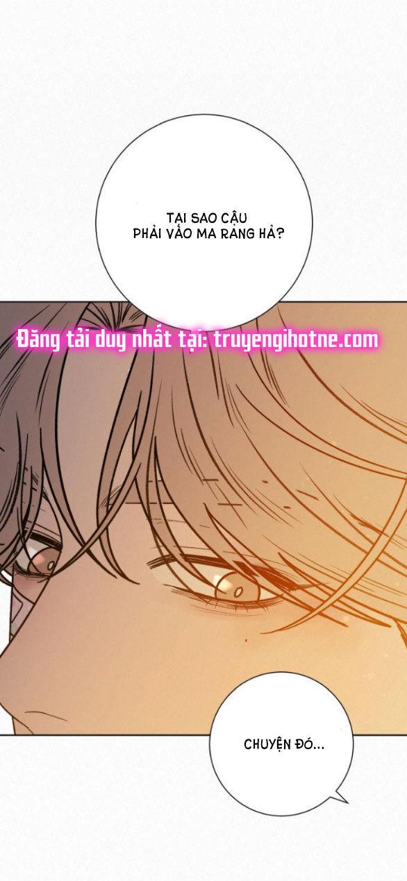 Tình Yêu Trong Sáng 