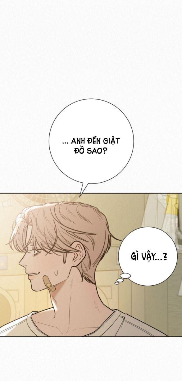 Tình Yêu Trong Sáng 