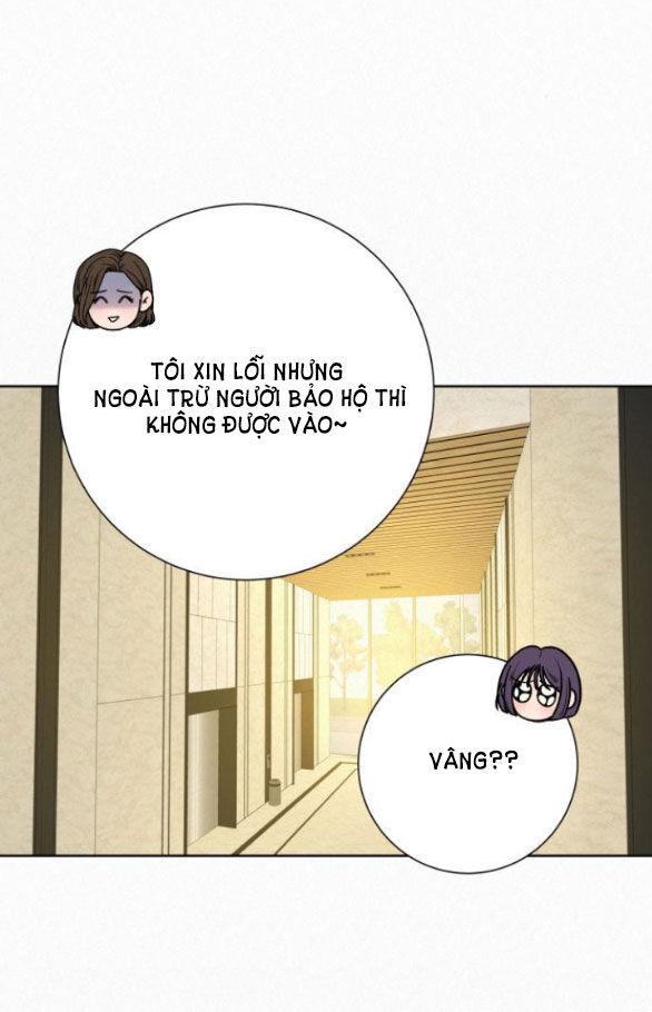 Tình Yêu Trong Sáng 