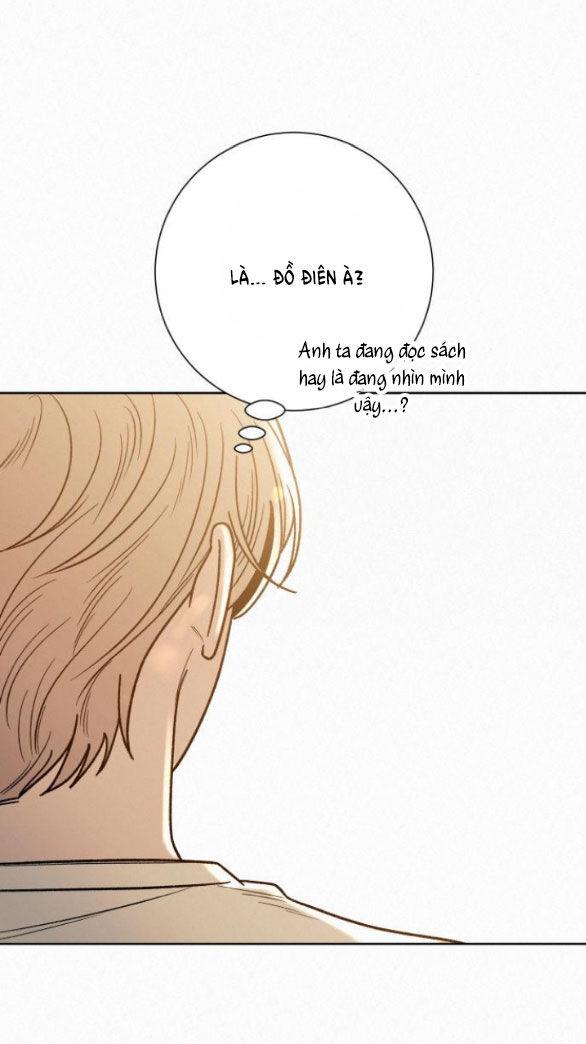 Tình Yêu Trong Sáng 