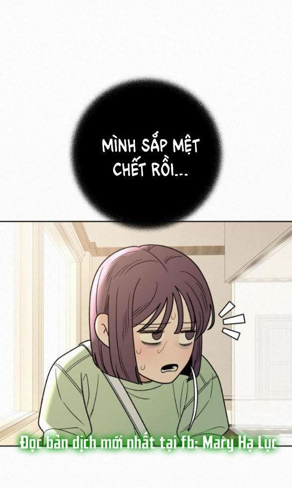 Tình Yêu Trong Sáng 