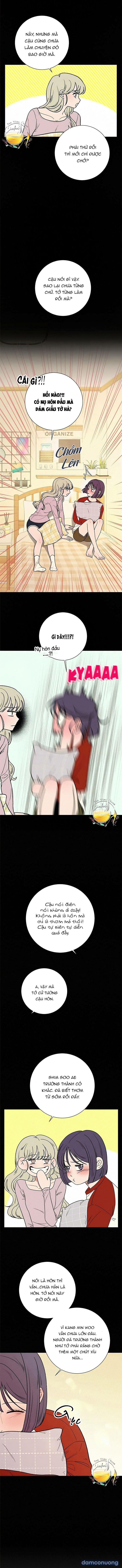 Tình Yêu Trong Sáng 