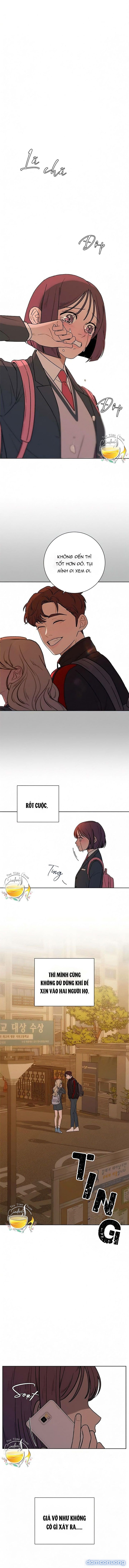 Tình Yêu Trong Sáng 