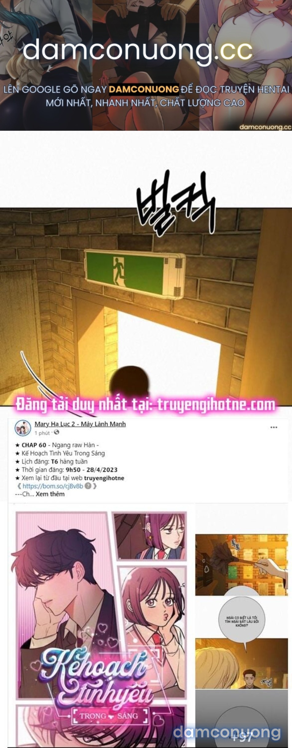 Tình Yêu Trong Sáng 