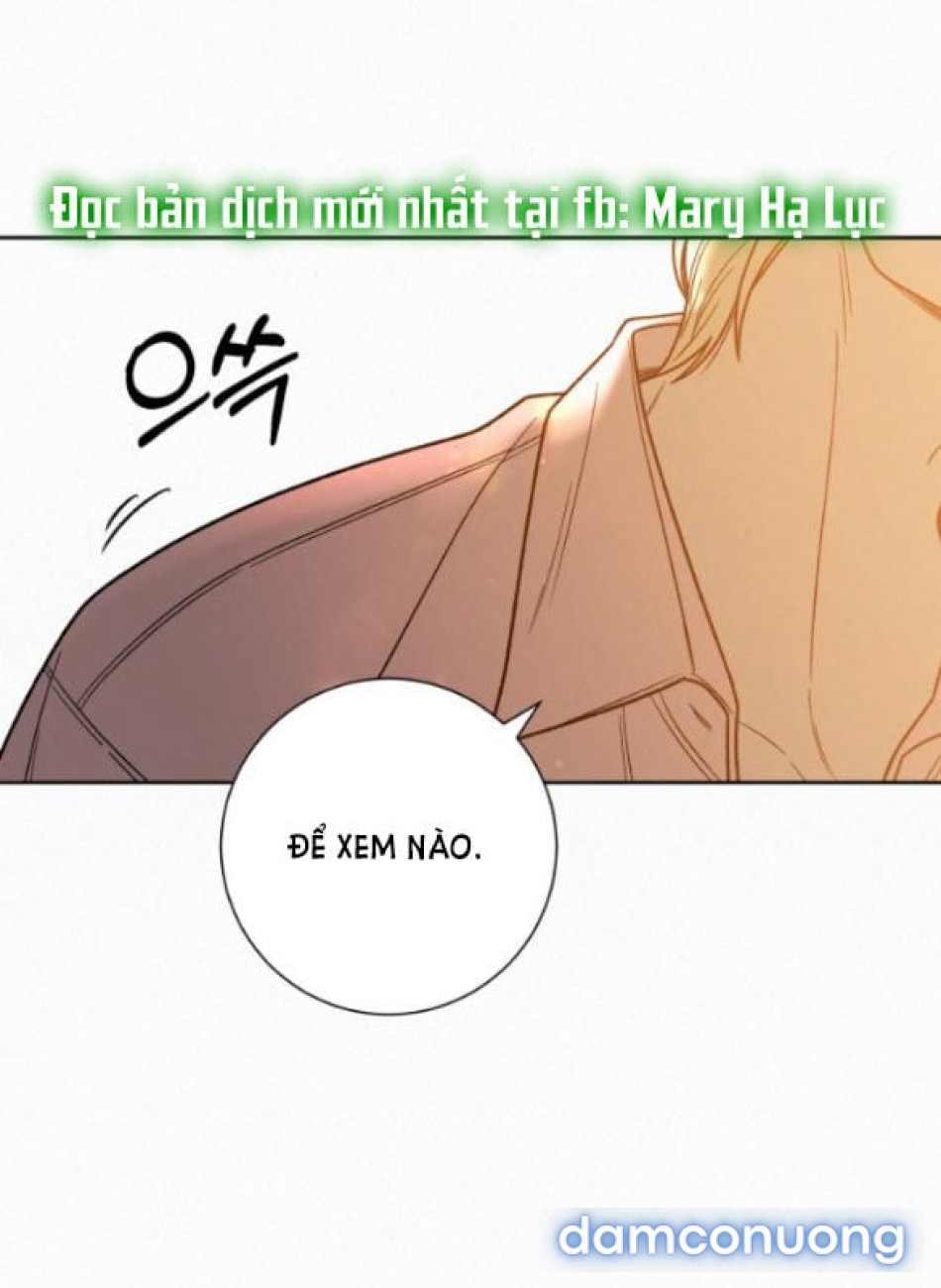 Tình Yêu Trong Sáng 