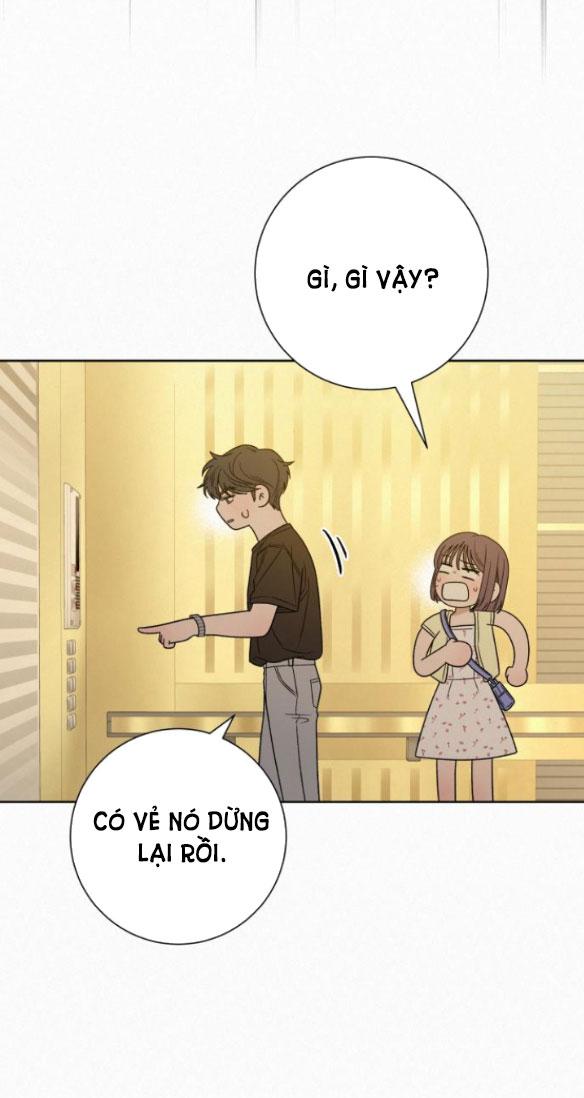 Tình Yêu Trong Sáng 