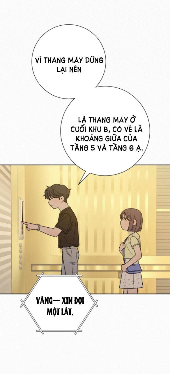 Tình Yêu Trong Sáng 
