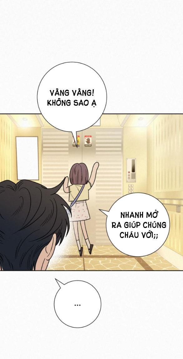Tình Yêu Trong Sáng 