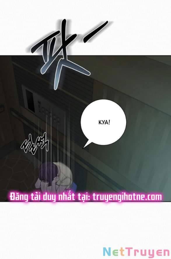 Tình Yêu Trong Sáng 