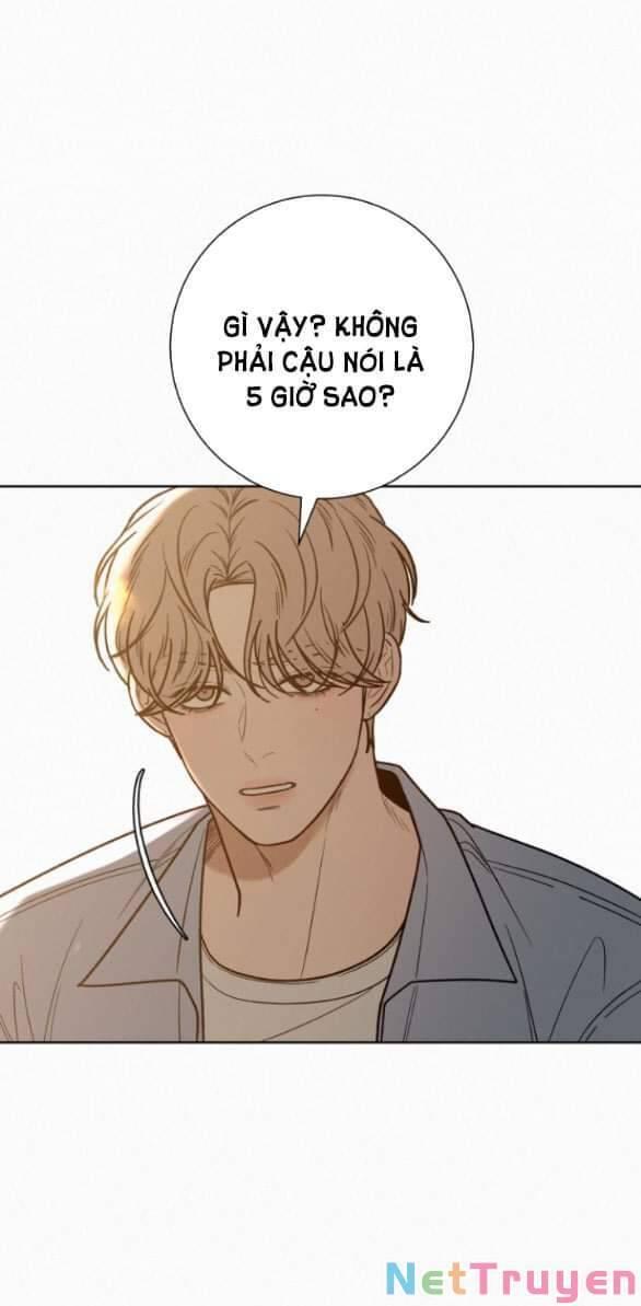 Tình Yêu Trong Sáng 