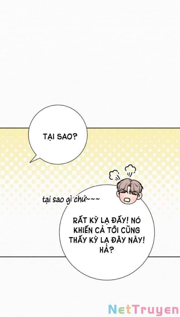 Tình Yêu Trong Sáng 