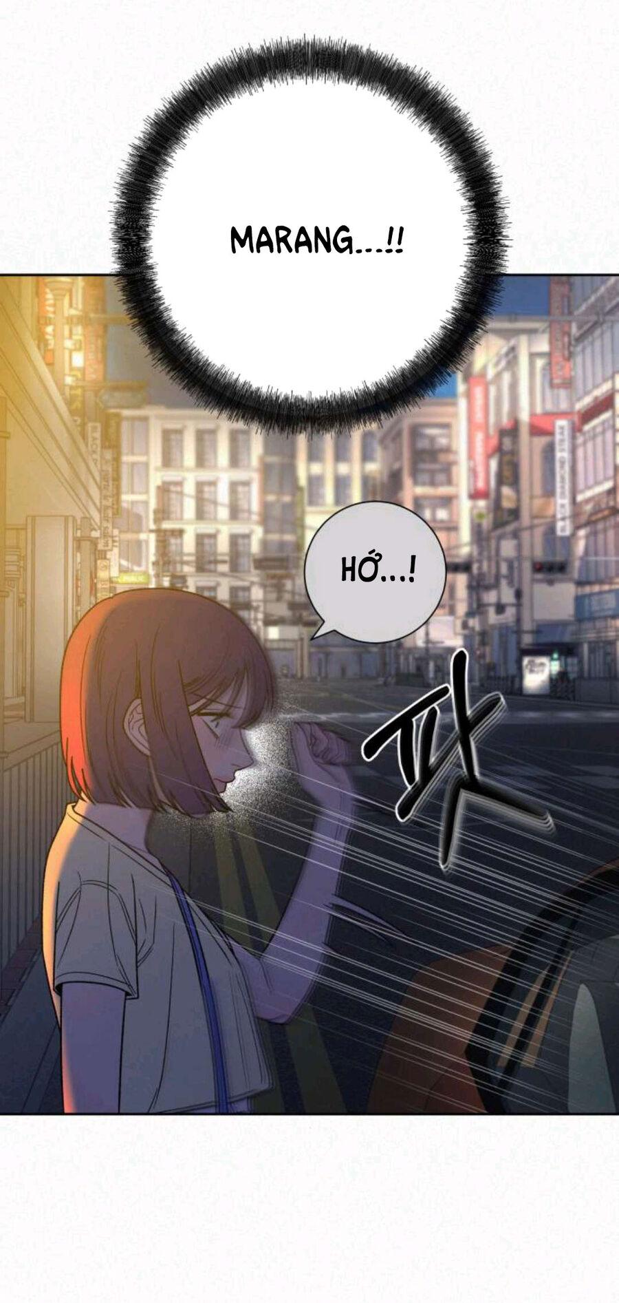 Tình Yêu Trong Sáng 