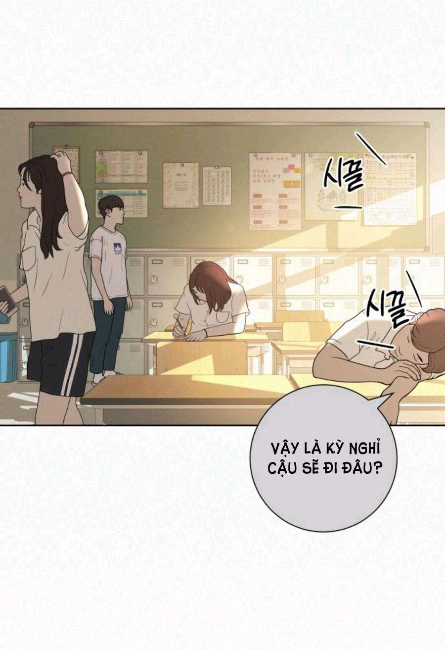 Tình Yêu Trong Sáng 
