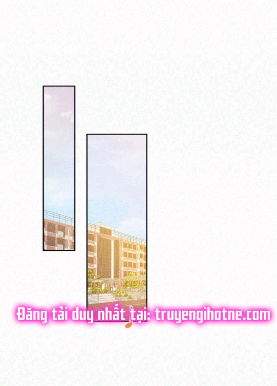 Tình Yêu Trong Sáng 