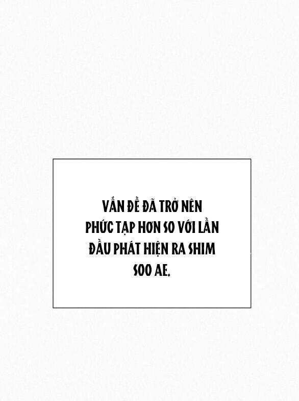 Tình Yêu Trong Sáng 