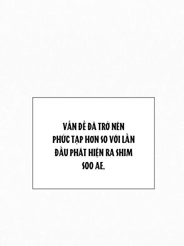 Tình Yêu Trong Sáng 