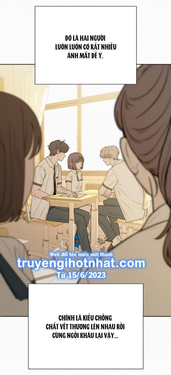 Tình Yêu Trong Sáng 