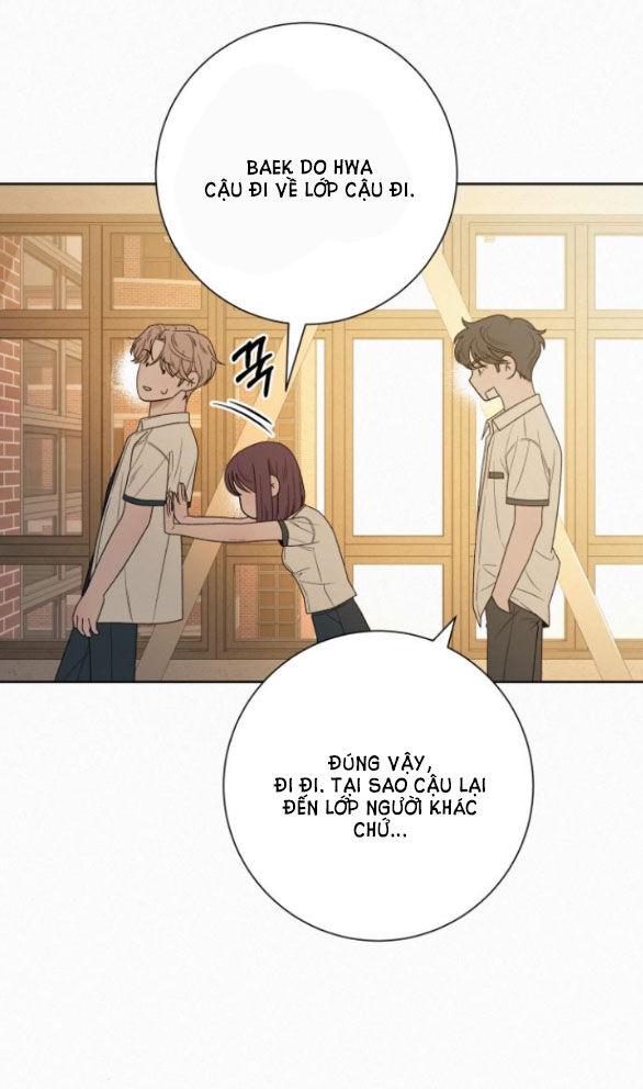 Tình Yêu Trong Sáng 