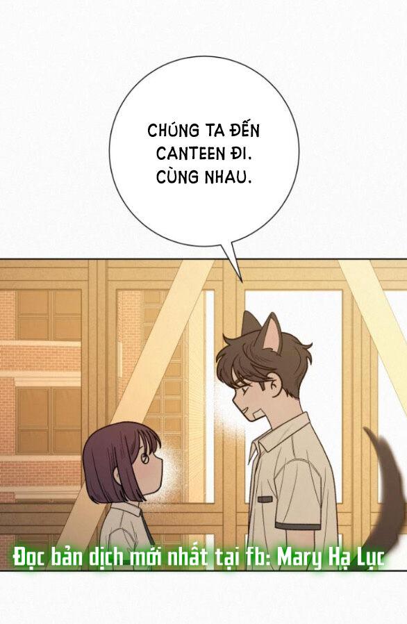 Tình Yêu Trong Sáng 