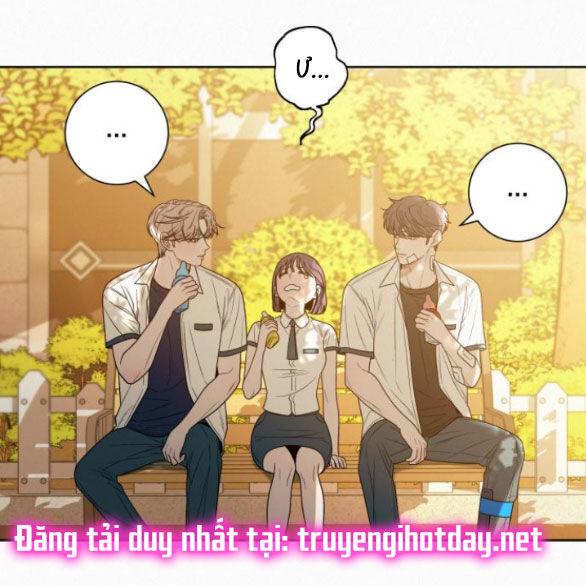 Tình Yêu Trong Sáng 