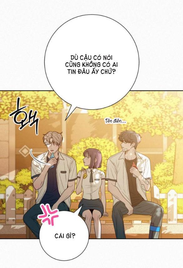 Tình Yêu Trong Sáng 