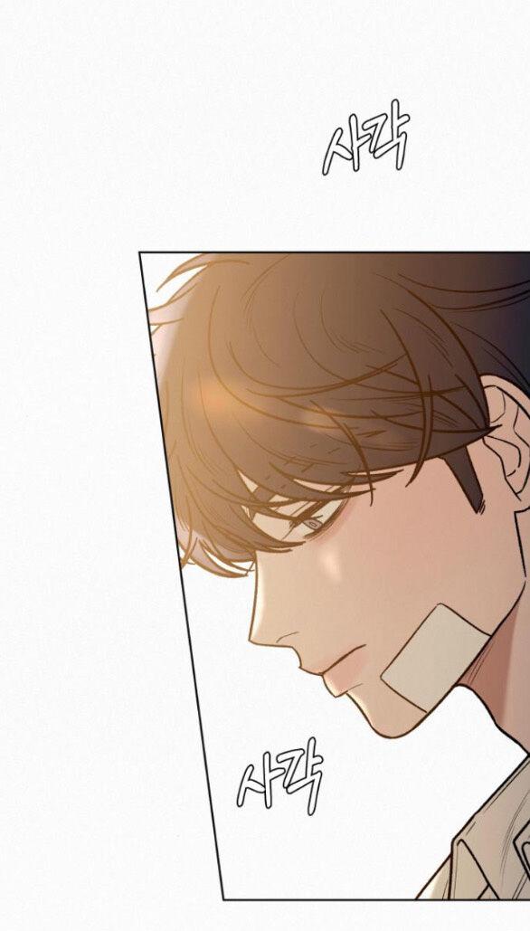 Tình Yêu Trong Sáng 