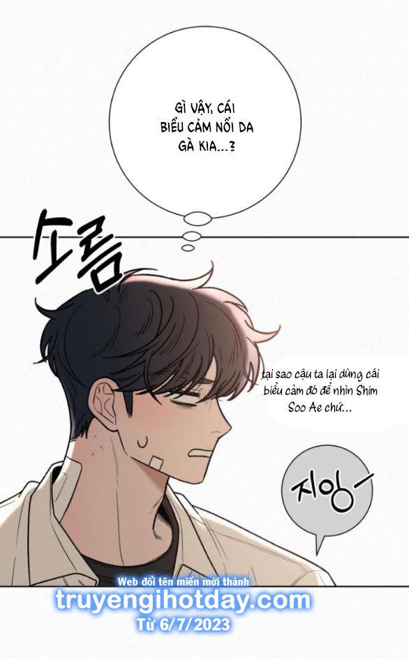 Tình Yêu Trong Sáng 