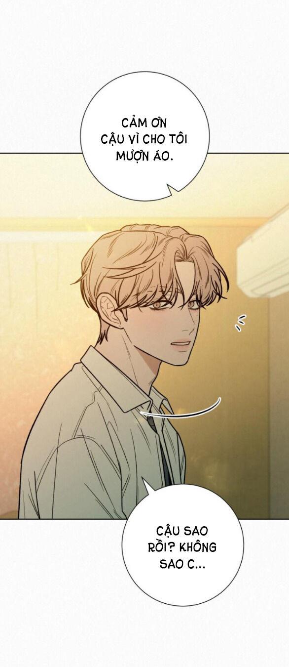 Tình Yêu Trong Sáng 